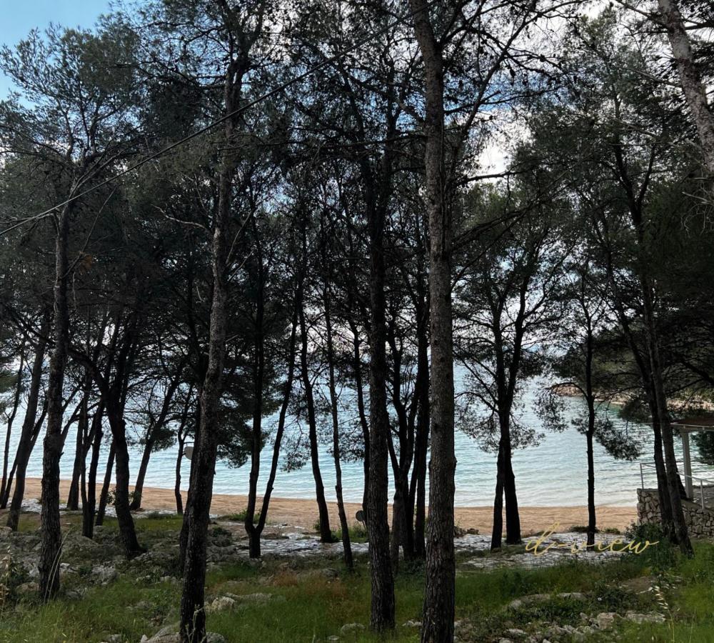 D-View Premium Mobile Home - Panoramic Seaview - 150 M From Beach, Free Parking Драге Екстер'єр фото